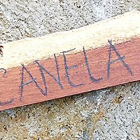 Recanto Terra Alta Vakantiehuis São Roque do Pico