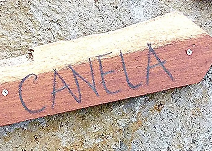 Recanto Terra Alta Holiday home Sao Roque do Pico